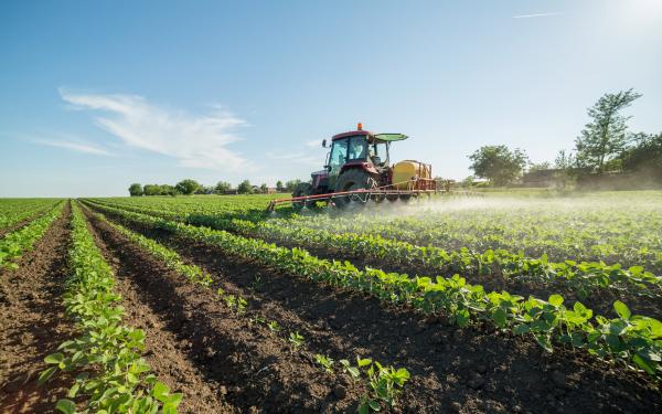 残留農薬の危険性。健康被害を避けるためにできること。