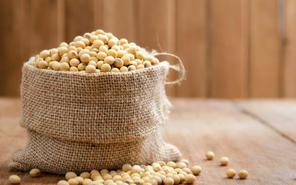 腸の損傷を引き起こすGMO(遺伝子組み換え)と農薬の関連性